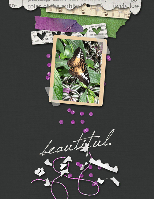 Butterfly-web