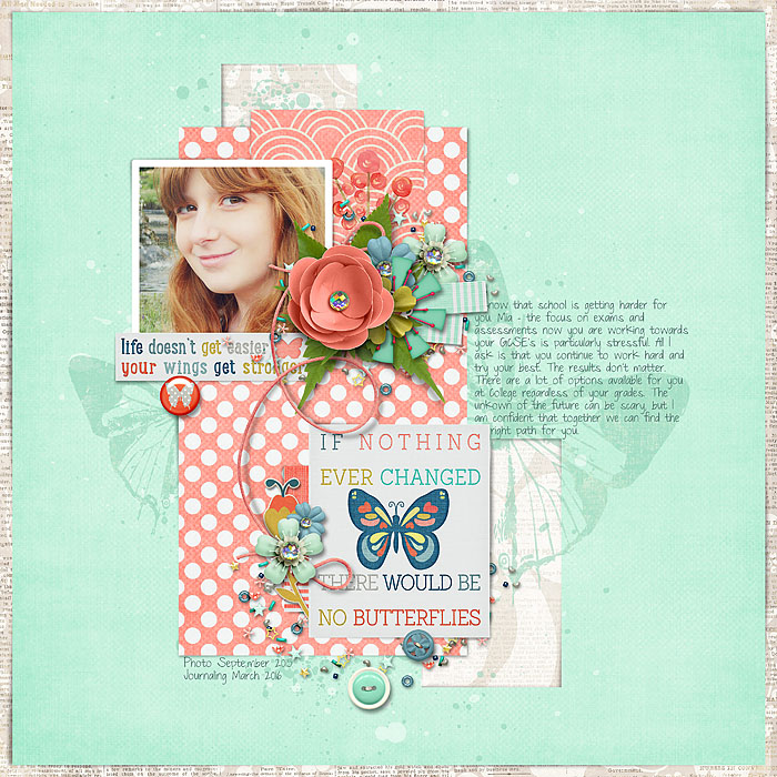 Butterfly