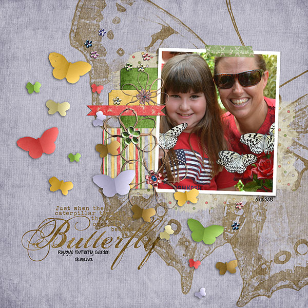 butterfly