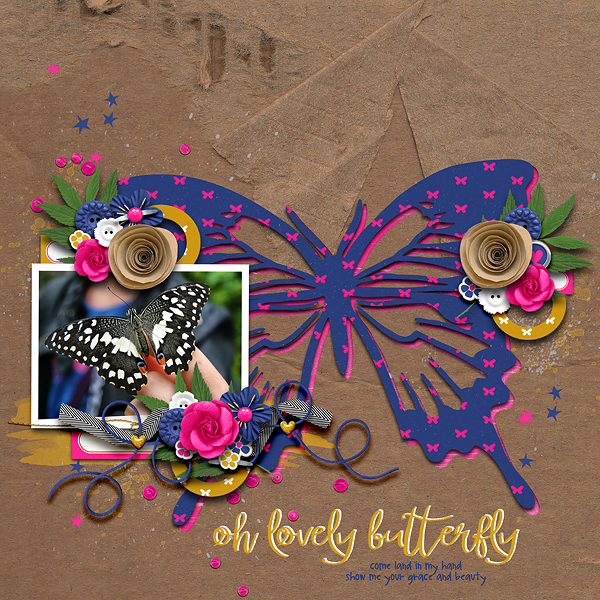 Butterfly