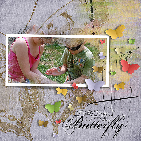butterfly