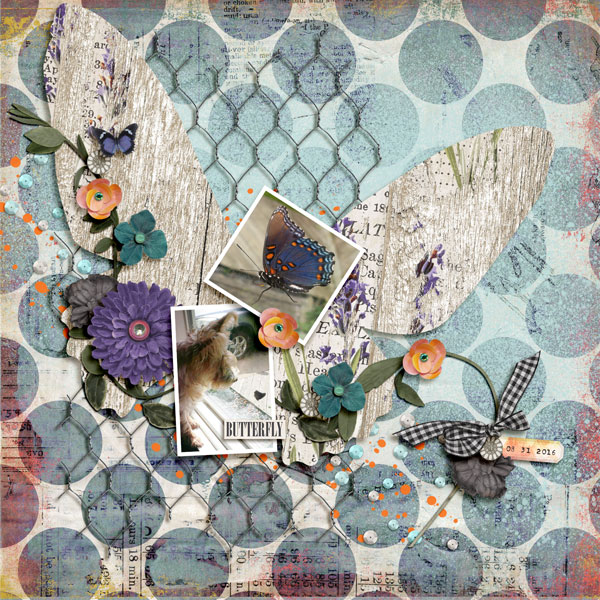 Butterfly