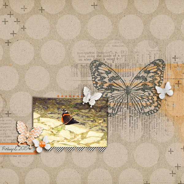 Butterfly