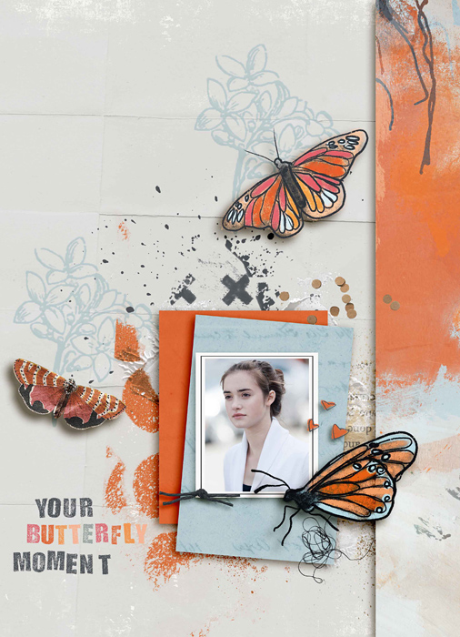 Butterfly
