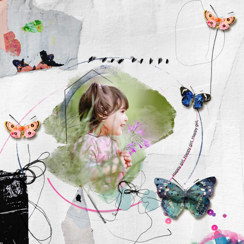 Butterfly
