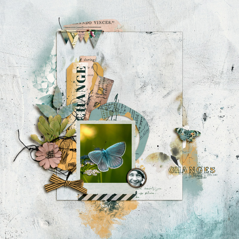 Butterfly