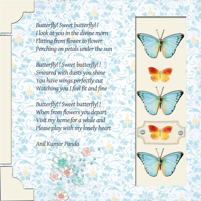 Butterfly