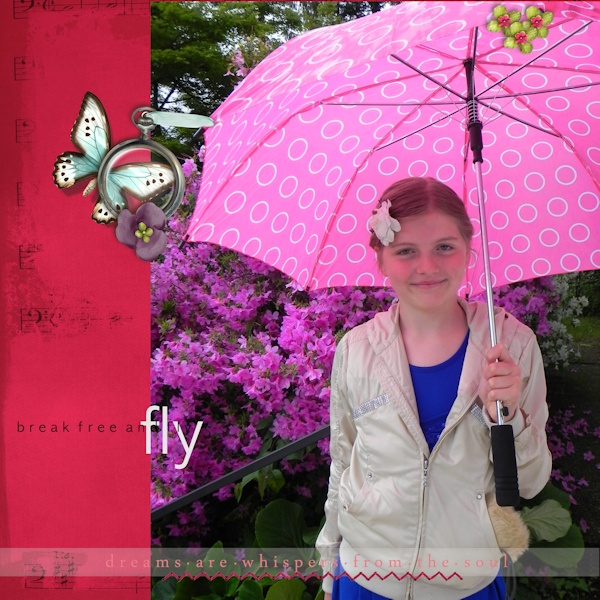 butterfly