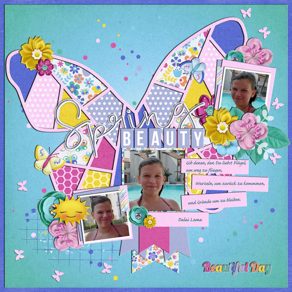 Butterfly123