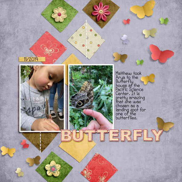 Butterfly2