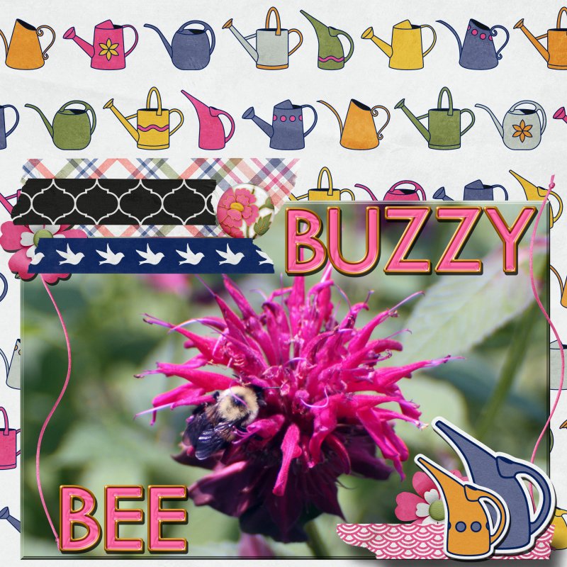 Buzzy Bee