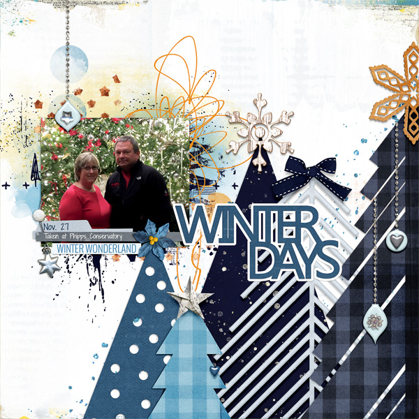 BYOC Challenge - Winter Days