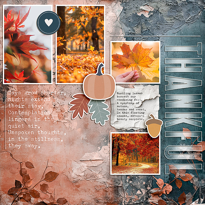 BYOC_11-23_AWA_Soco_Thankful
