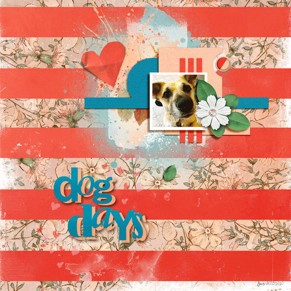 BYOC_dogdays