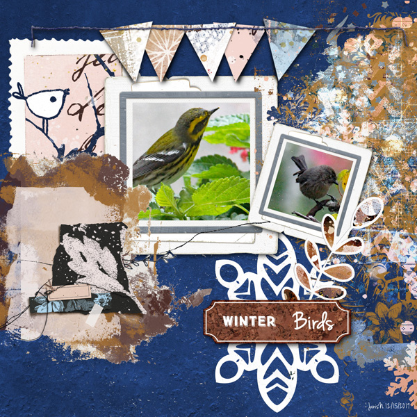 BYOC_winterbirds
