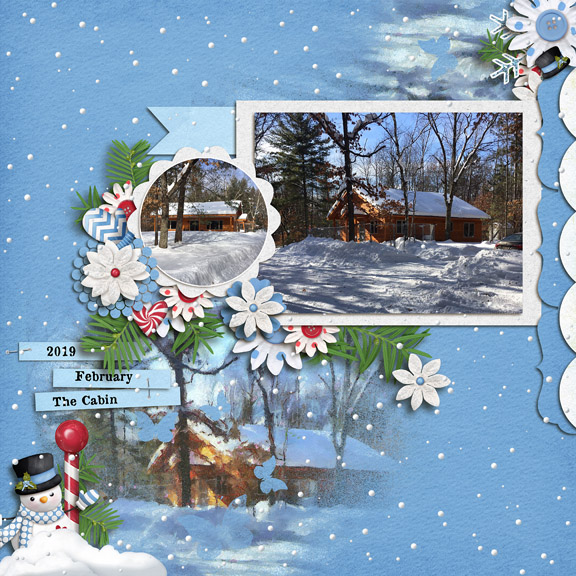 Cabin Feb 2019