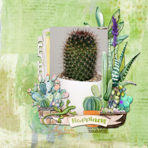Cactus Lover