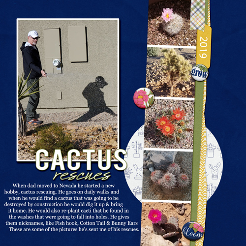Cactus-Rescues