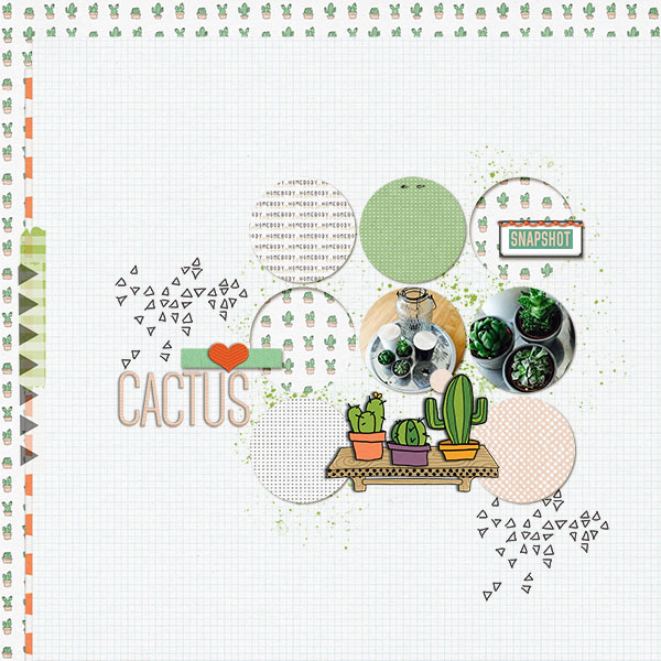Cactus