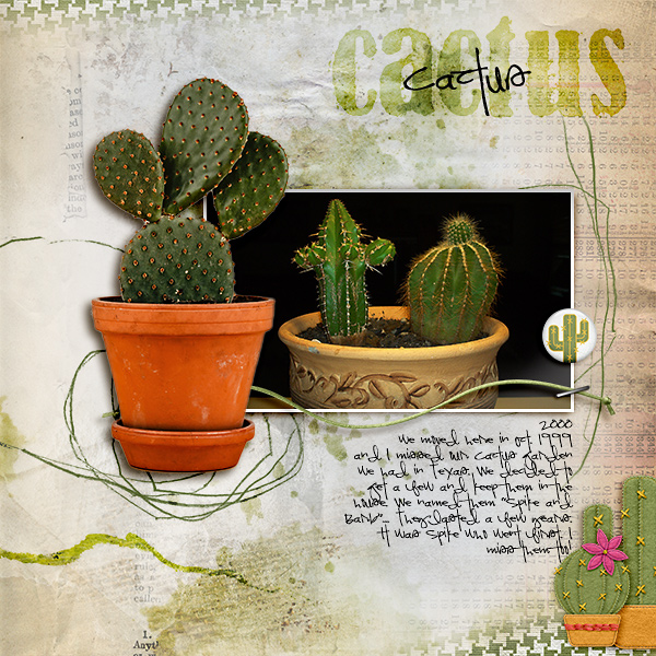 Cactus