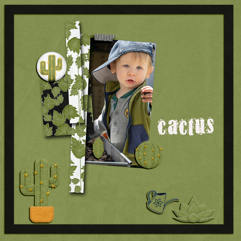 Cactus