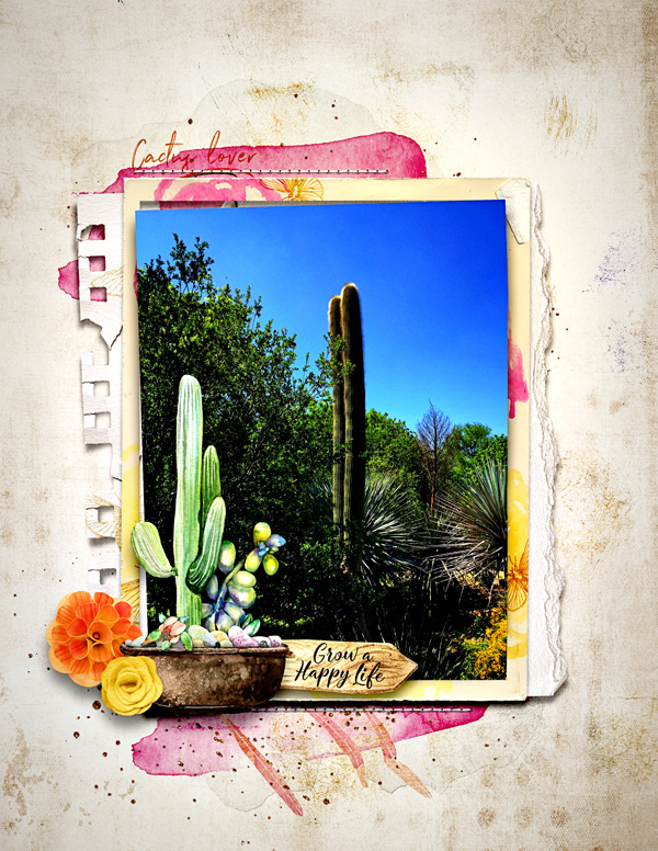 CactusLover