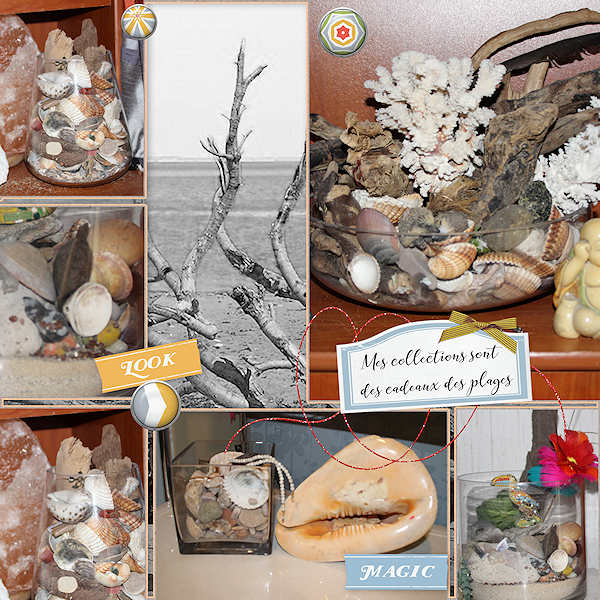 cadeaux de la mer