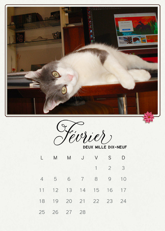 Calendar2019_February