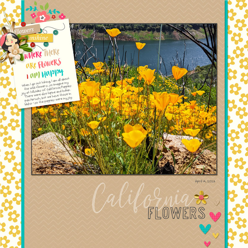 California-flowers