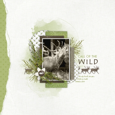 Call Of The Wild
