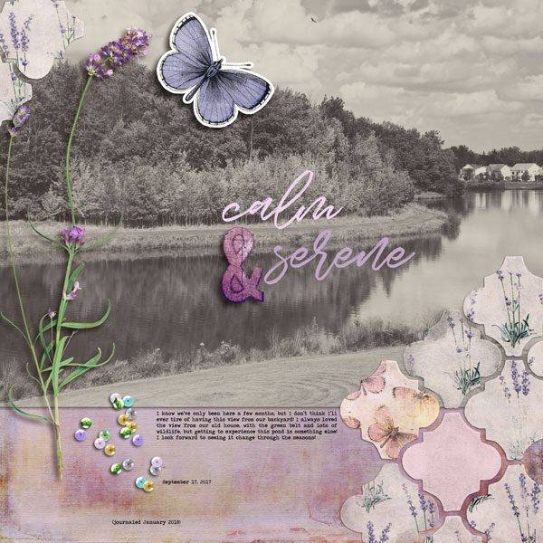 Calm and Serene