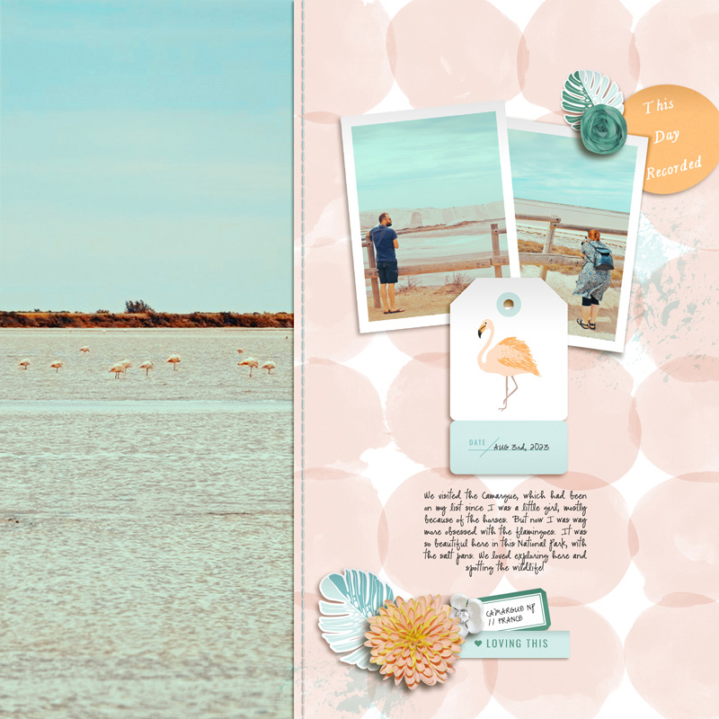 Camargue NP [LOD24 / Day 27: Sahin Designs]