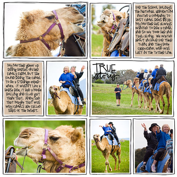 Camel Ride at the National Arboretum