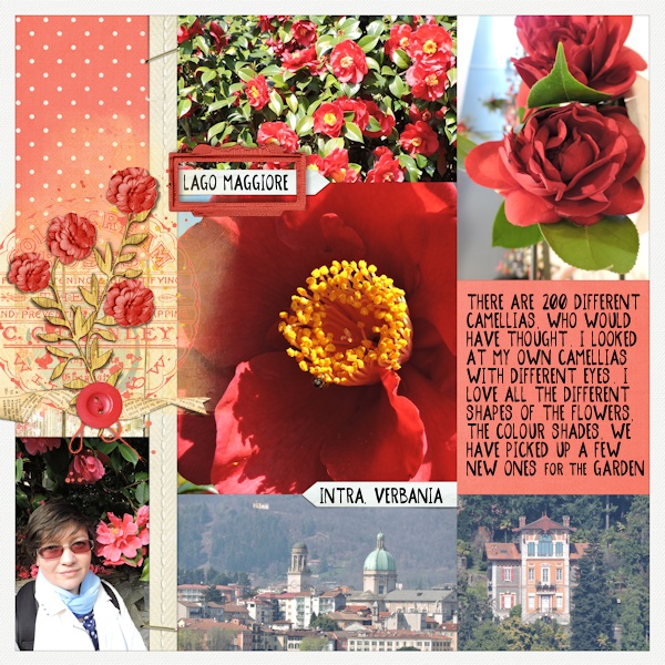 Camellia-3