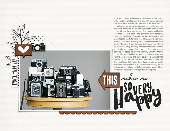 Camera collection