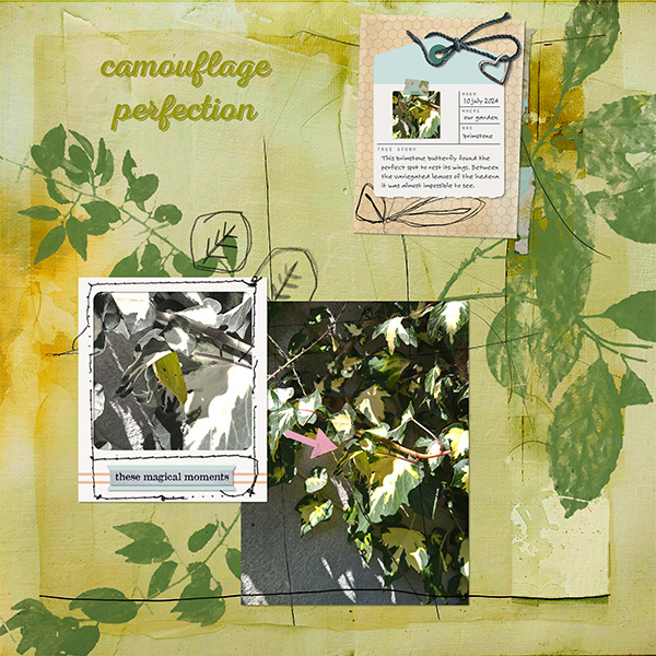 Camouflage Perfection