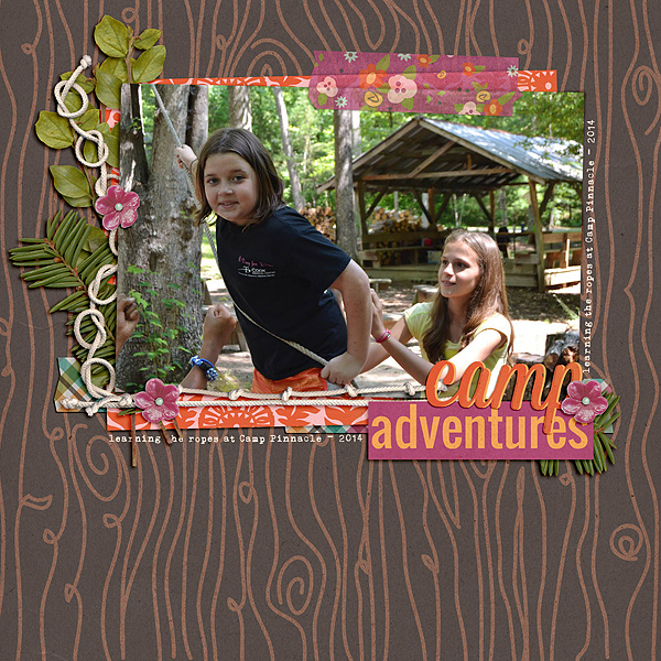 Camp Adventures : Ropes