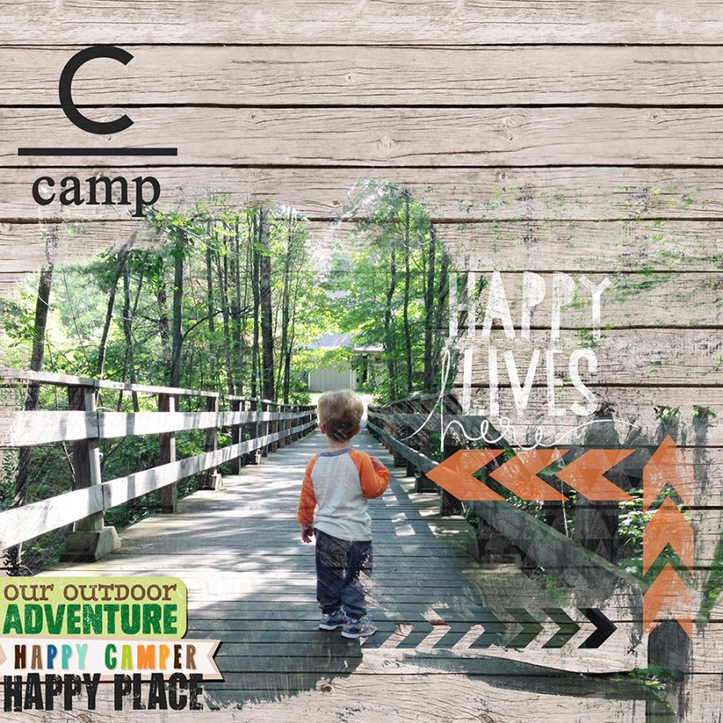 Camp MOC#16