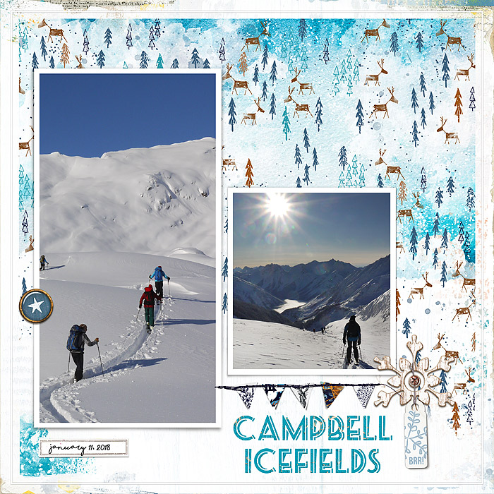 Campbell IcefieldL