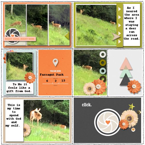 Campground greeter pg 2