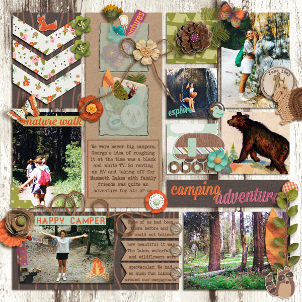 Camping Adventure