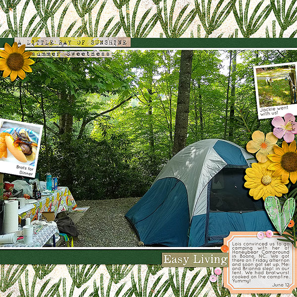 Camping June 12