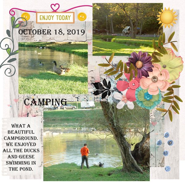 CAMPING1--WEB.jpg