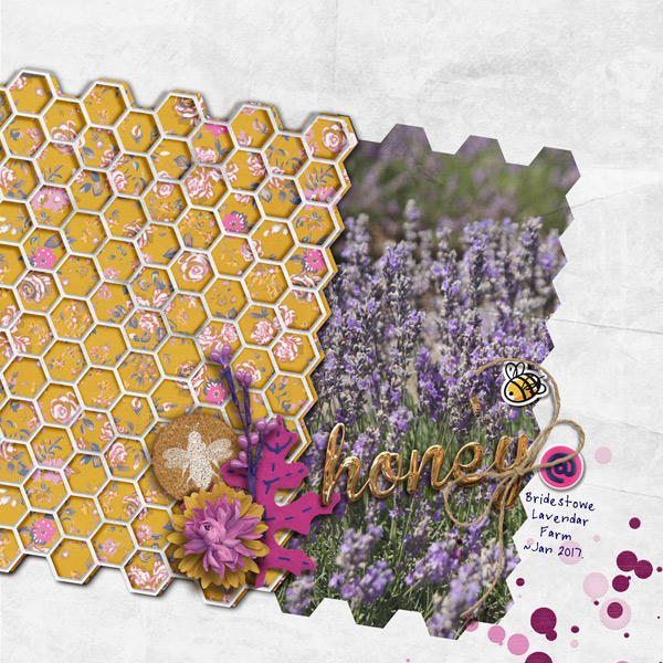 can you see the bee?