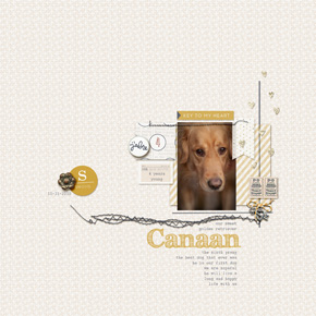 Canaan: the sixth prang