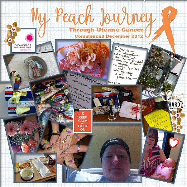 Cancer, My Peach Journey (a)