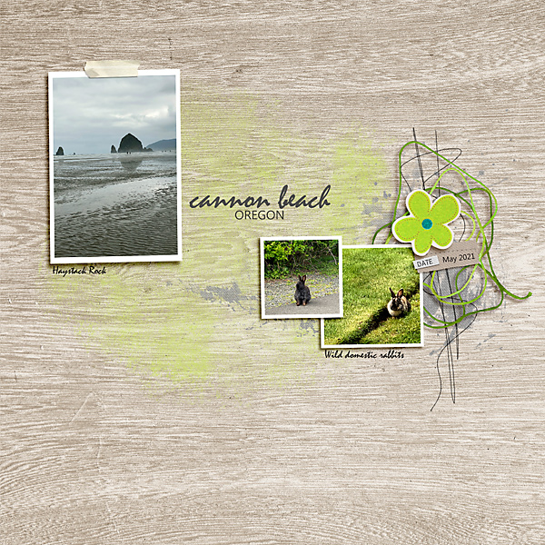 Cannon Beach