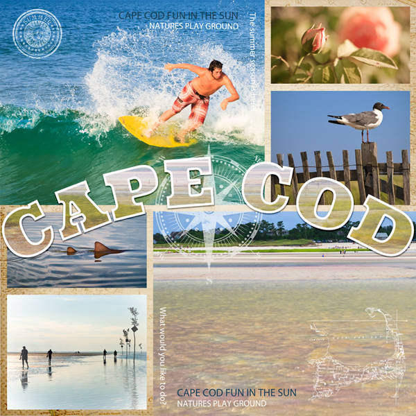 Cape Cod