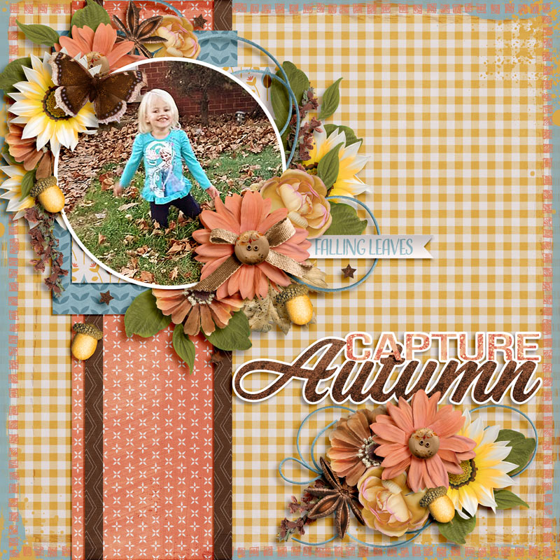 Capture Autumn