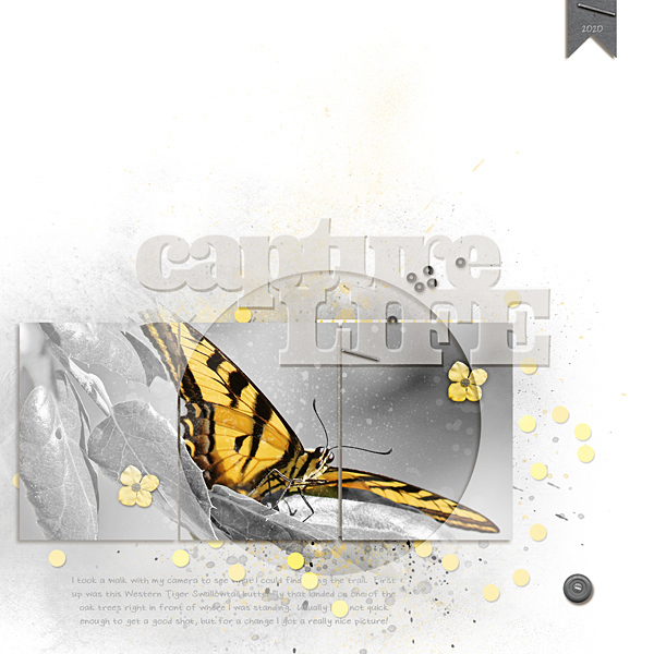 Capture Life